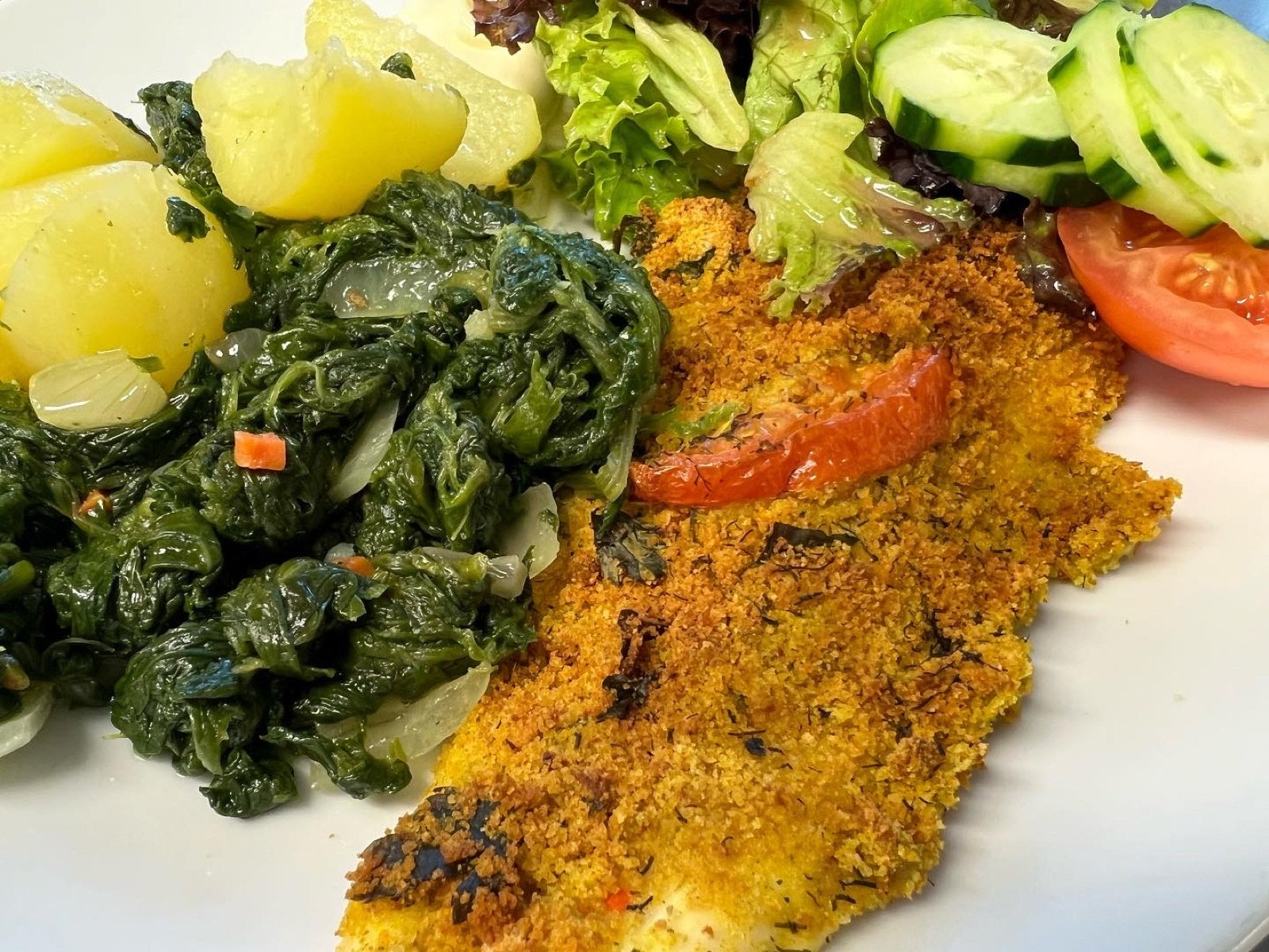 Catering – Freudenpracht